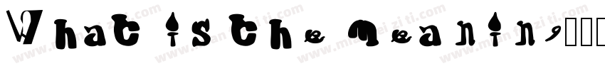 What is the meaning字体转换